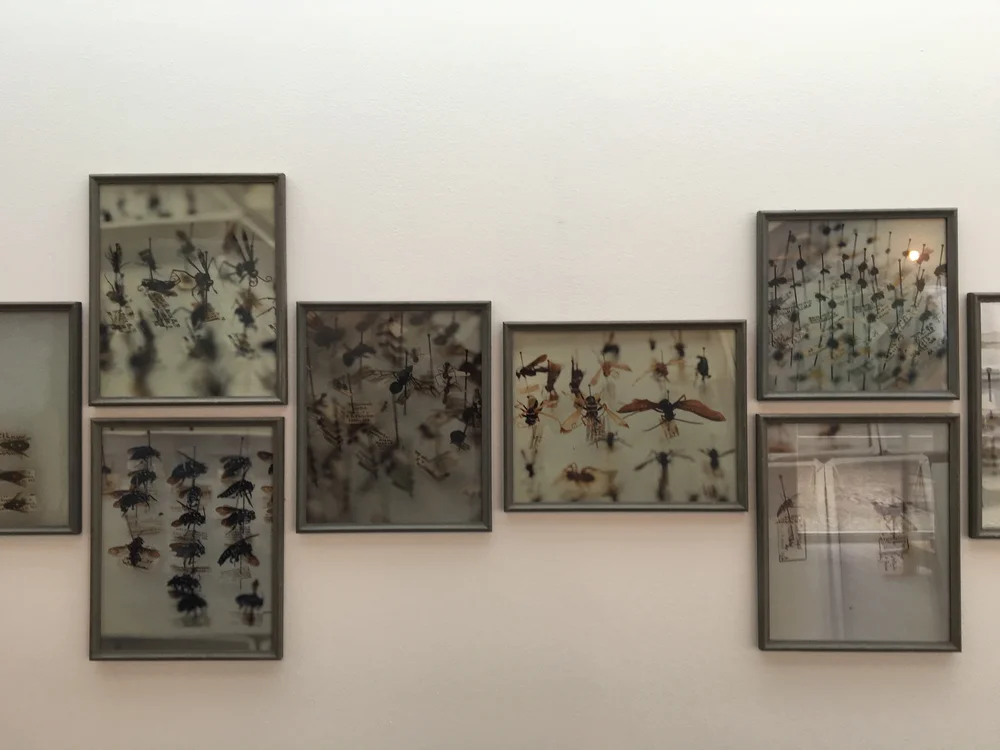 Simryn Gill, The Opening Up of the World, 2017, Lunds Konsthall