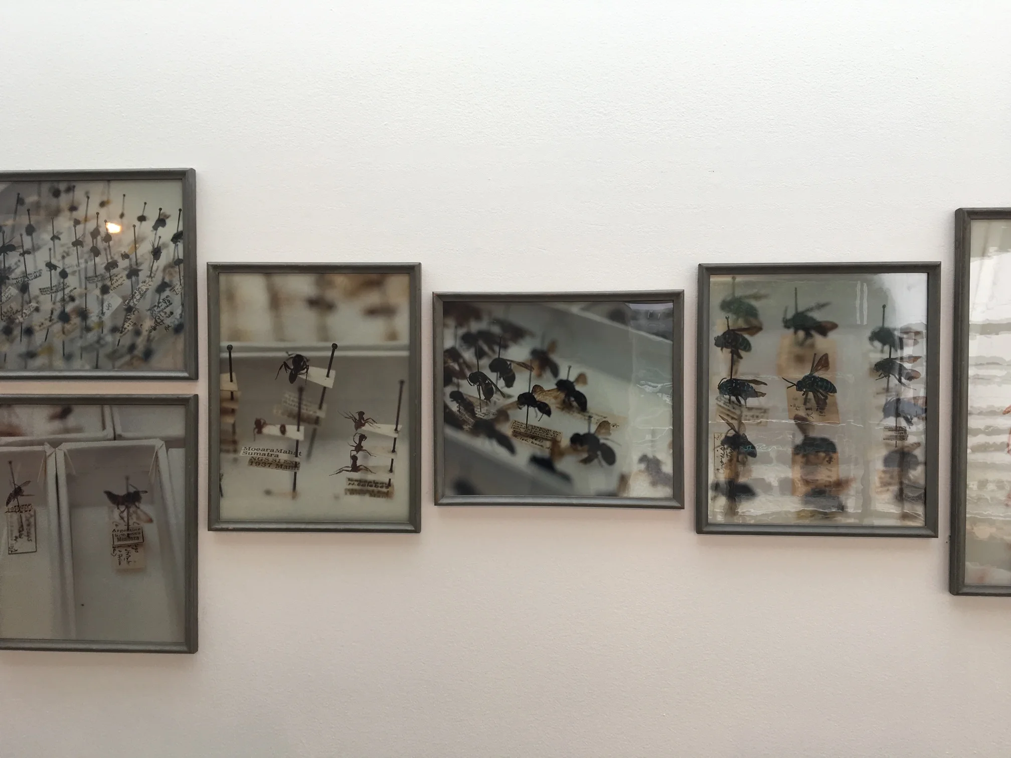 Simryn Gill, The Opening Up of the World, 2017, Lunds Konsthall