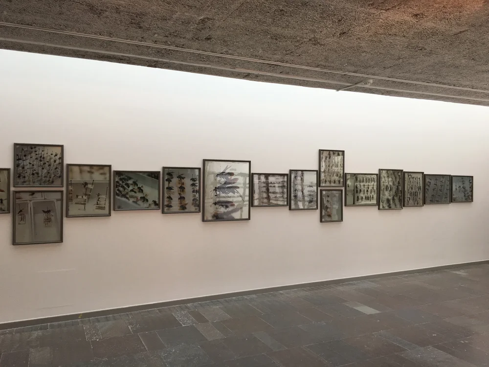 Simryn Gill, The Opening Up of the World, 2017, Lunds Konsthall