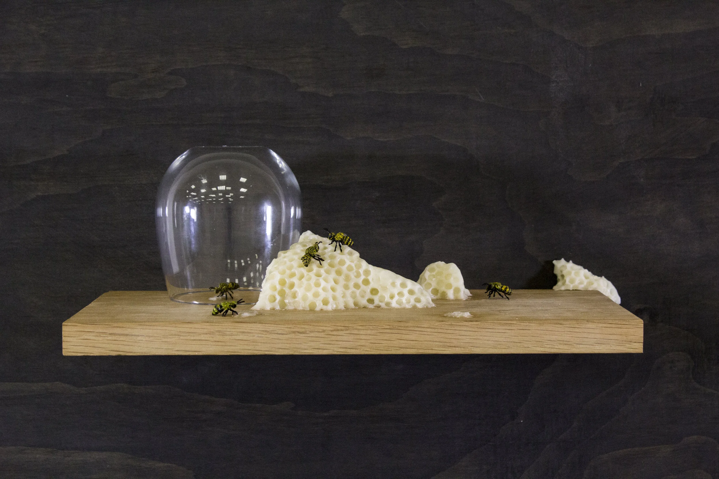 Meagan-Hindel-Sculpture-Detail-Bee.jpg