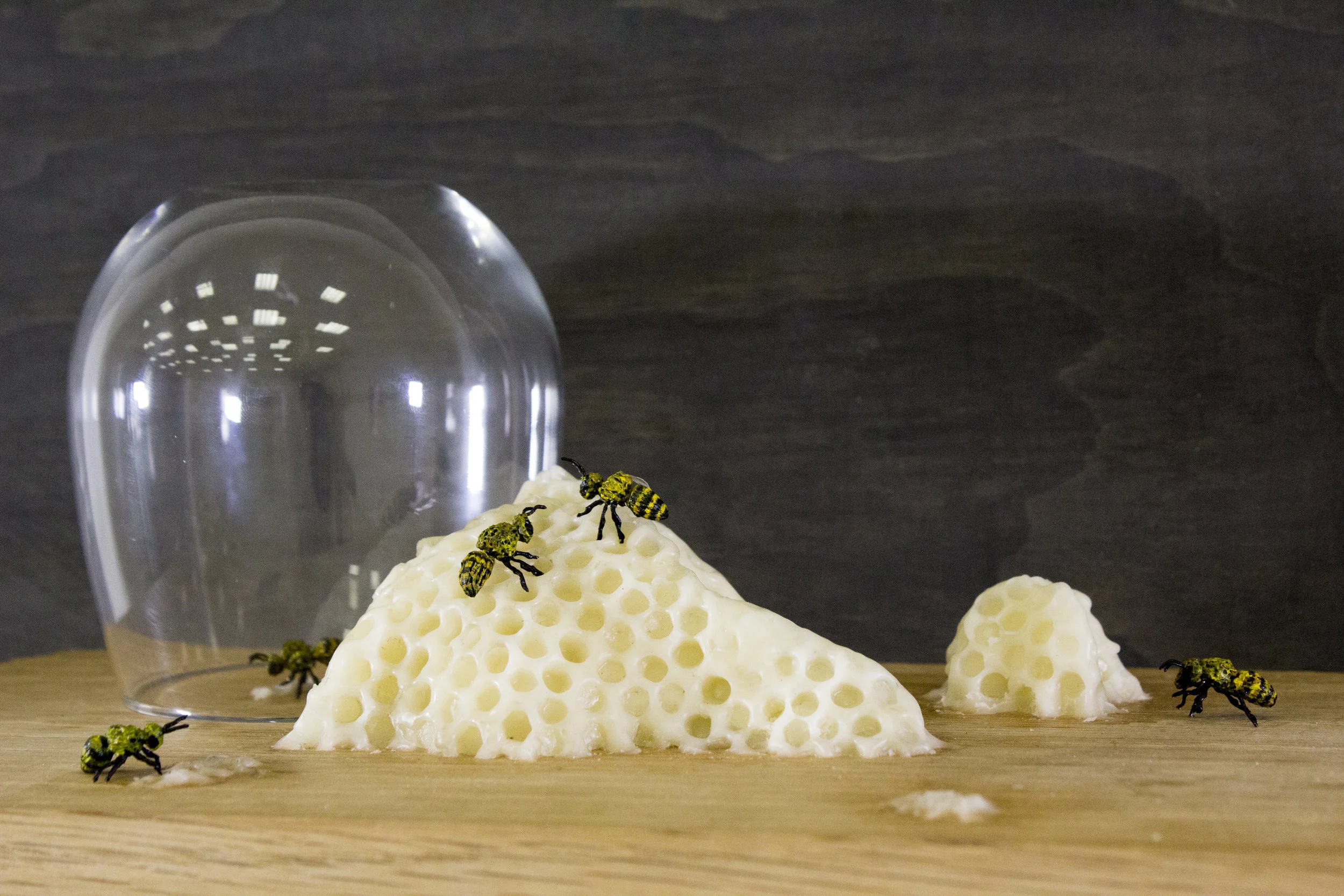 Meagan-Hindel-Sculpture-Detail-Bee1.jpg