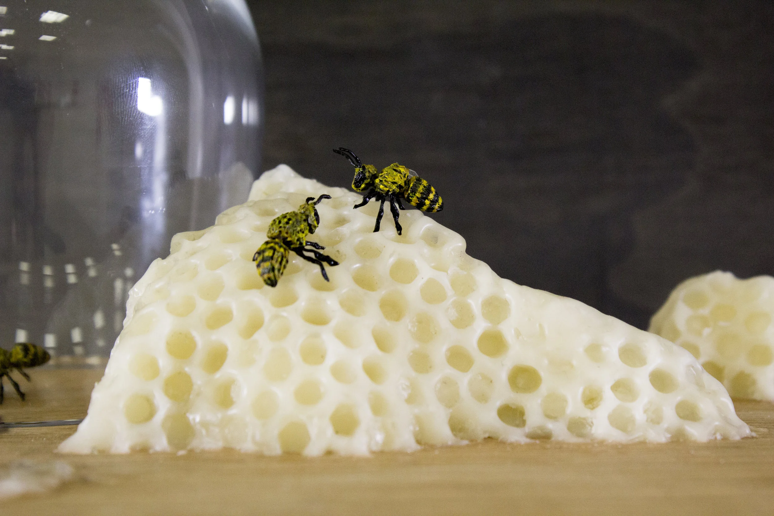 Meagan-Hindel-Sculpture-Detail-Bee2.jpg