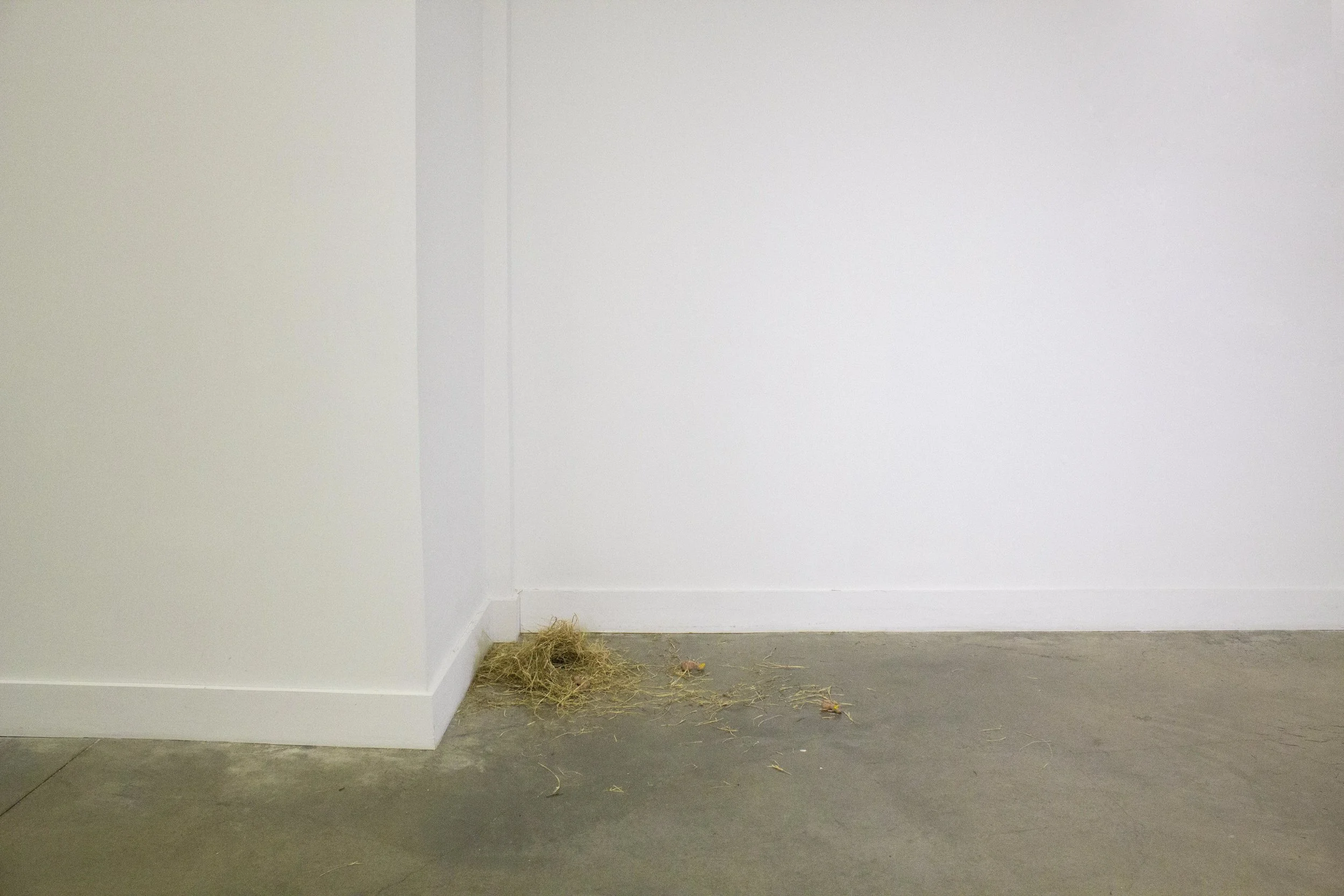 Meagan-Hindel-Sculpture-BirdNest1.jpg