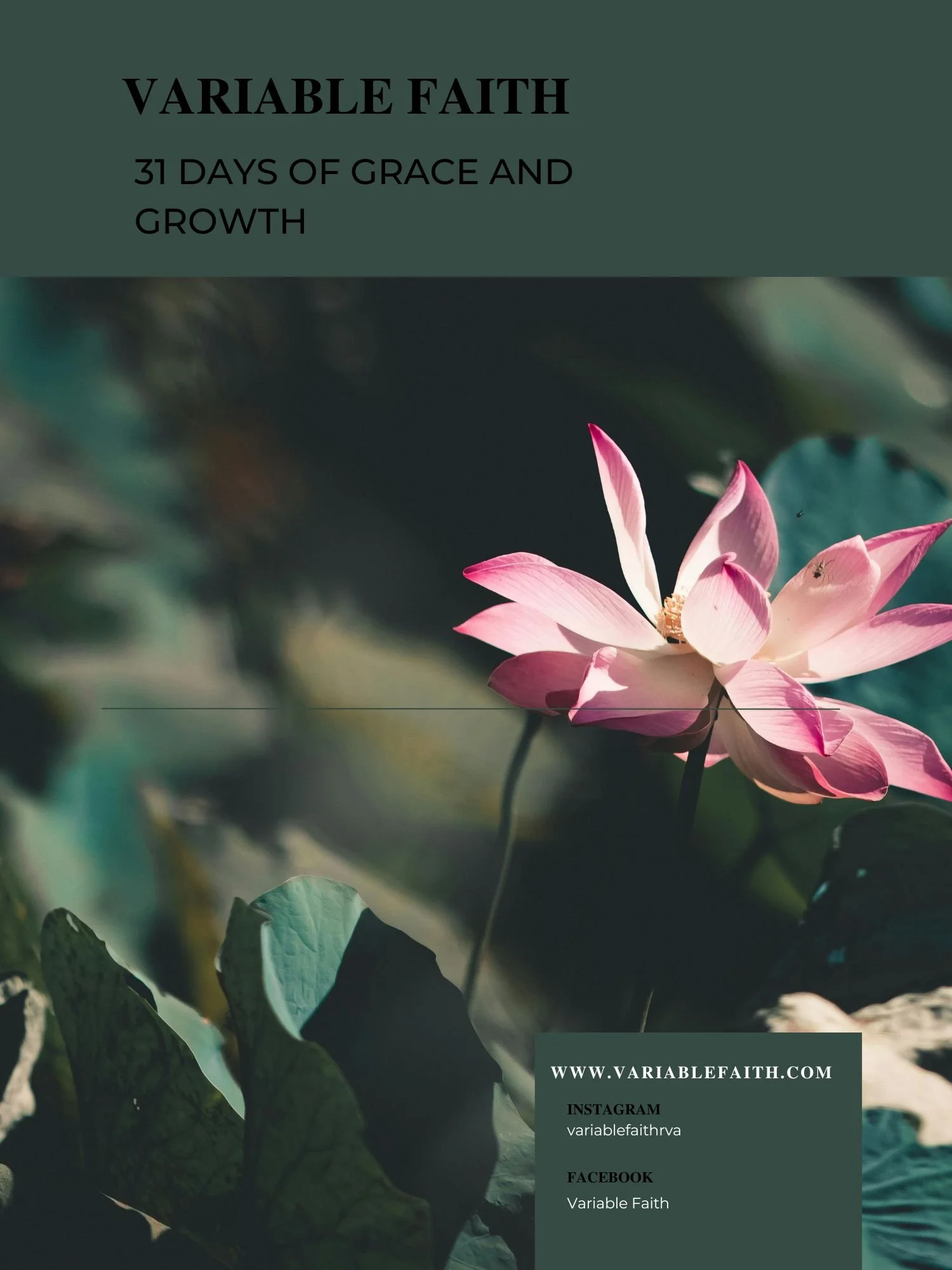 Copy of 31 days of grace and growth vf Curriculum with lines (7.5 x 10 in).jpg