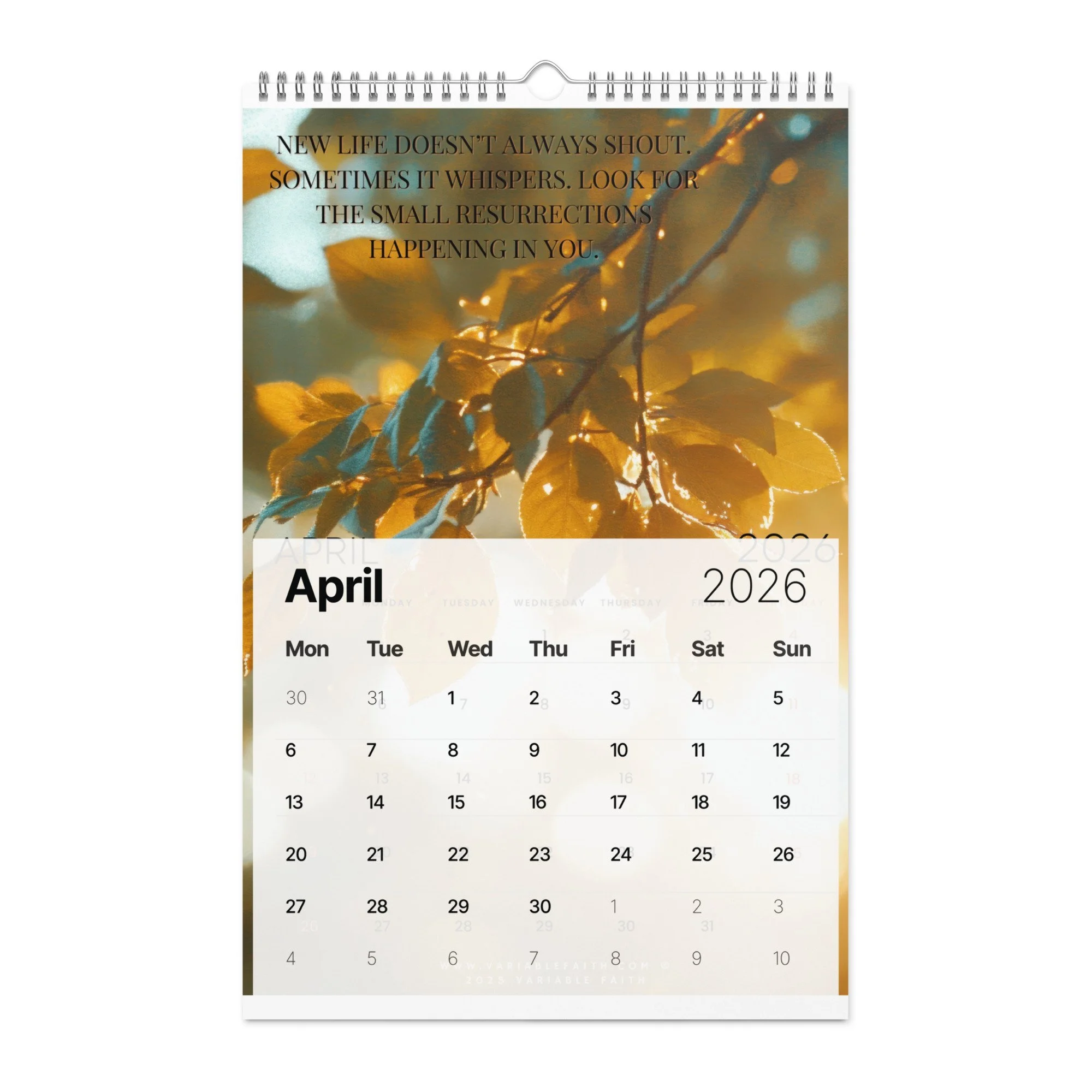 wall-calendar-(2026)-start-w-mon-11x17-front-692db4a406e51.jpg