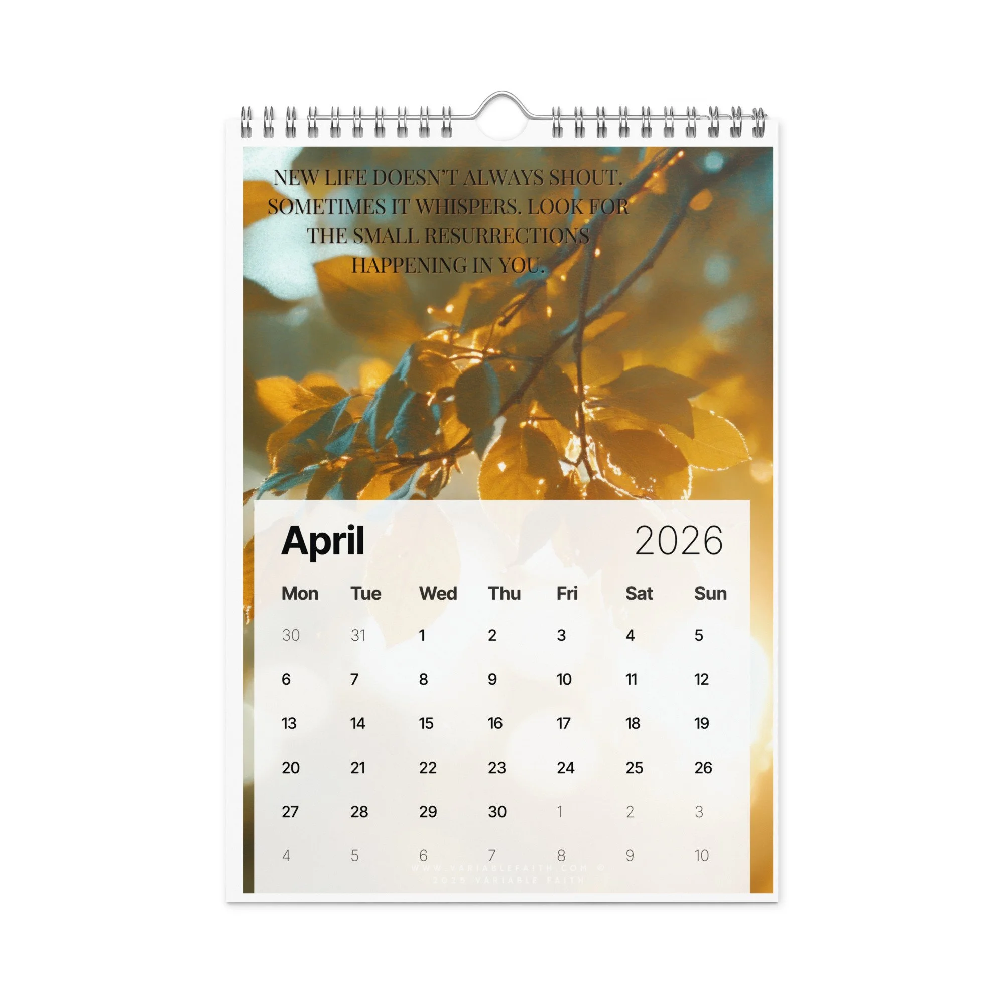 wall-calendar-(2026)-start-w-mon-8.26x11.69-front-692df181ef3c8.jpg
