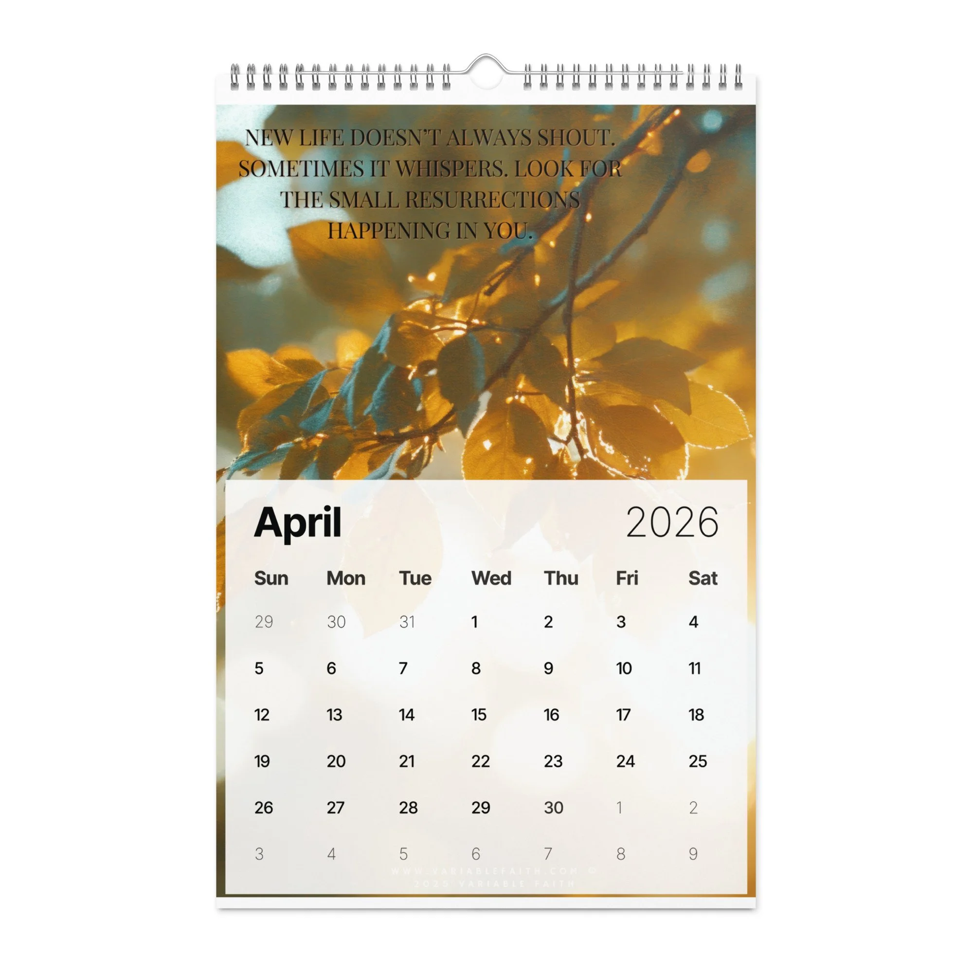 wall-calendar-(2026)-start-w-sun-11x17-front-692df3a1ad816.jpg