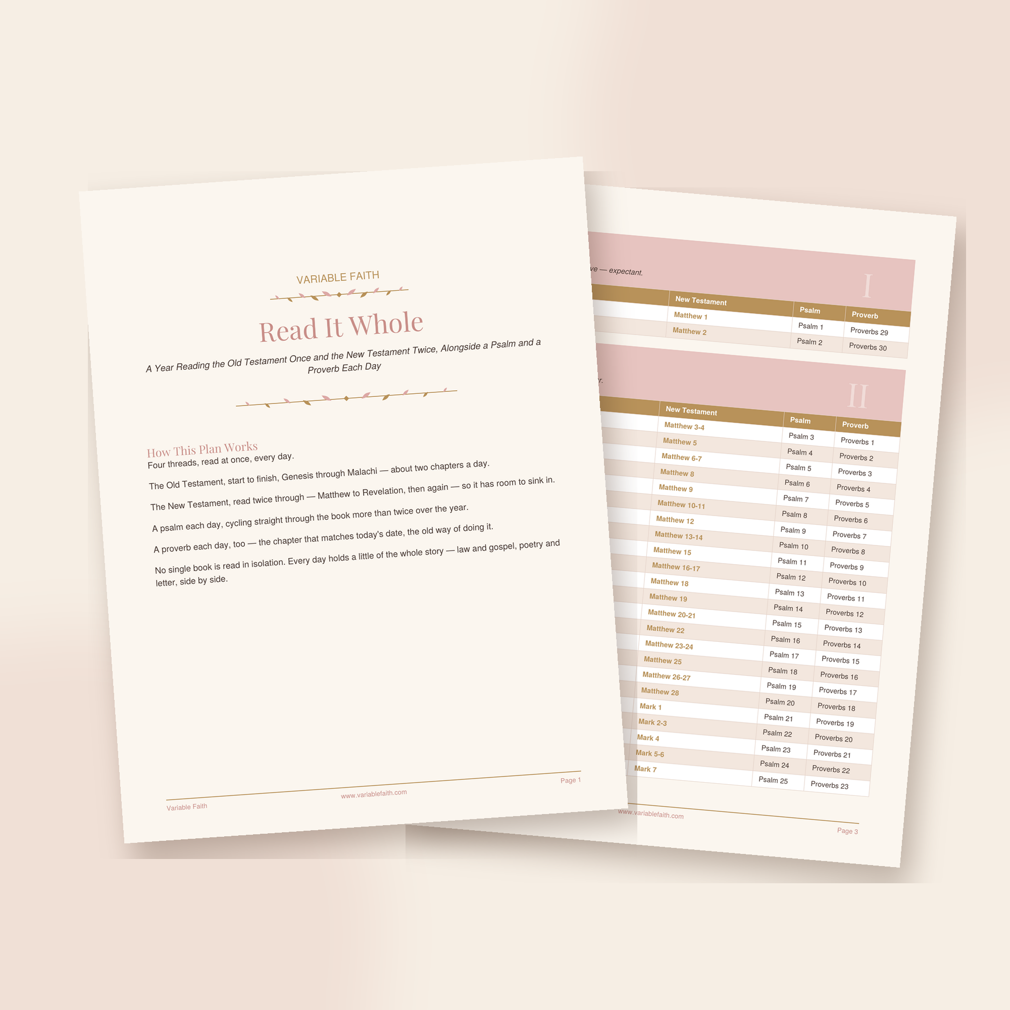 ReadItWhole_Product_Image.png