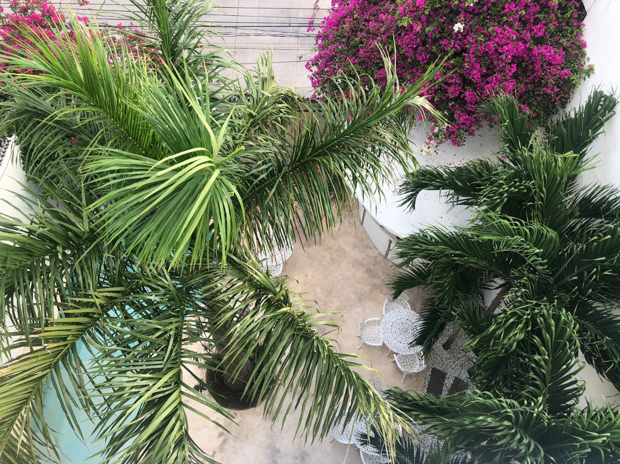 best trip to mexico