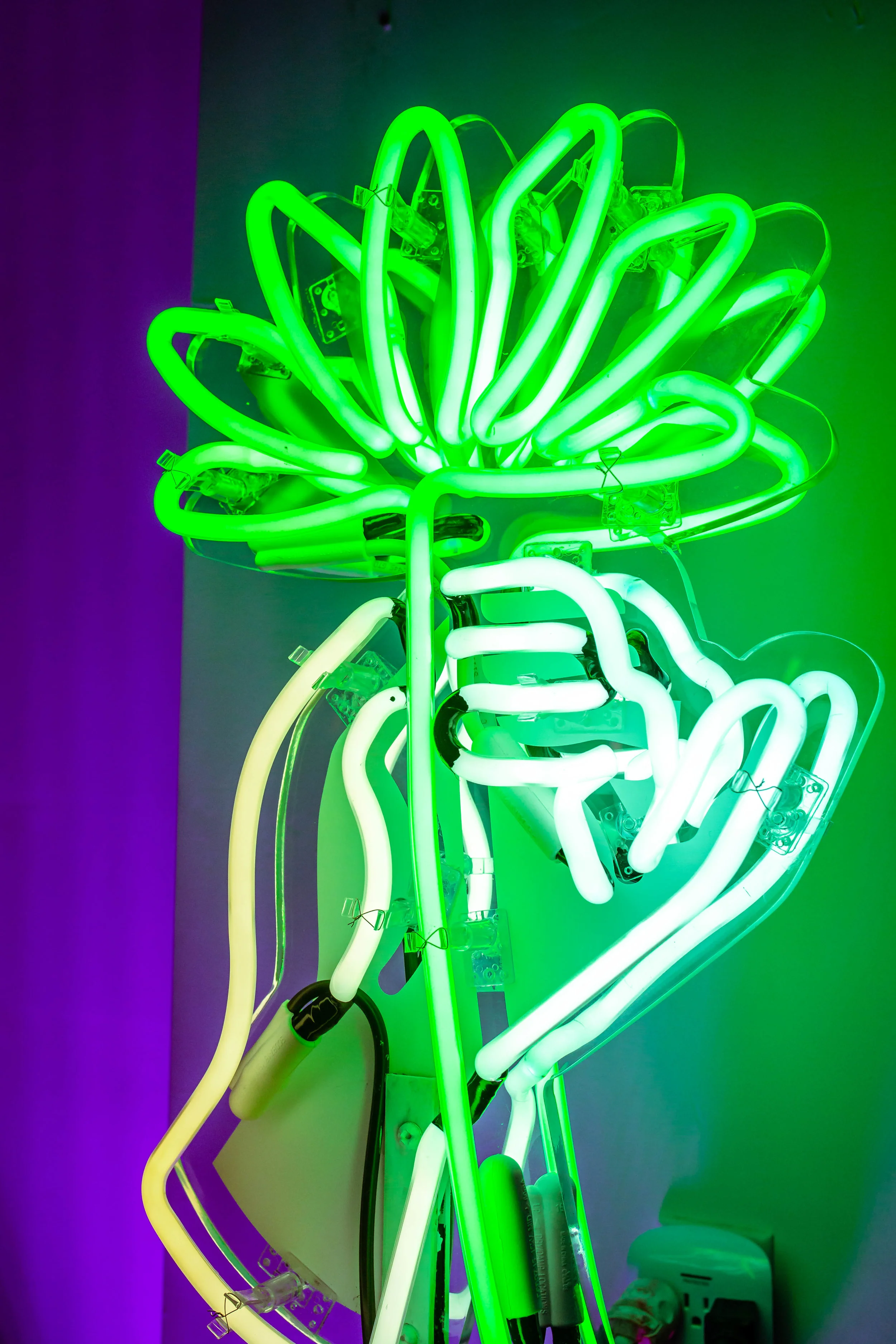 Feb11 _Blackspace-Flowerco-8685.jpg