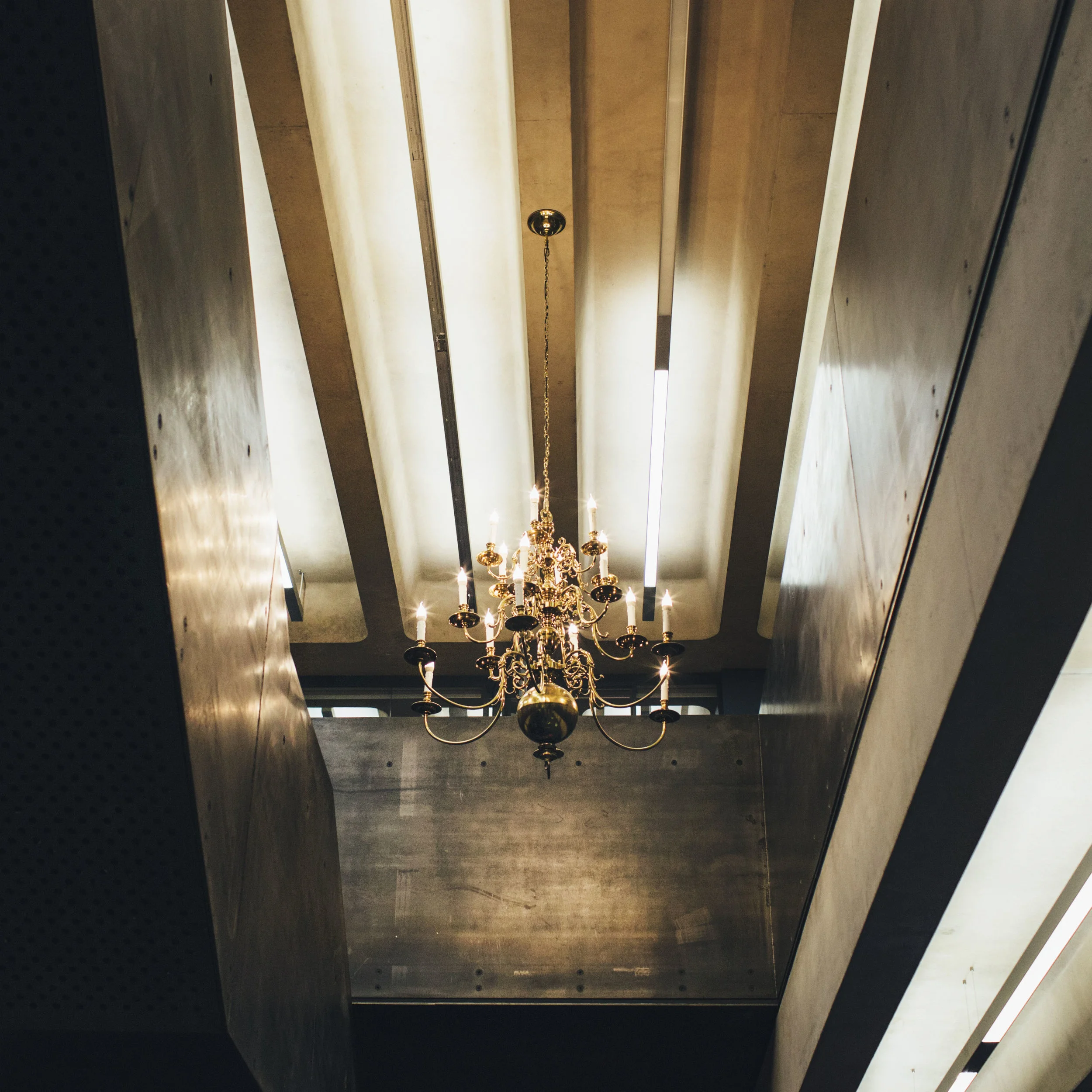 Lights 2.jpg