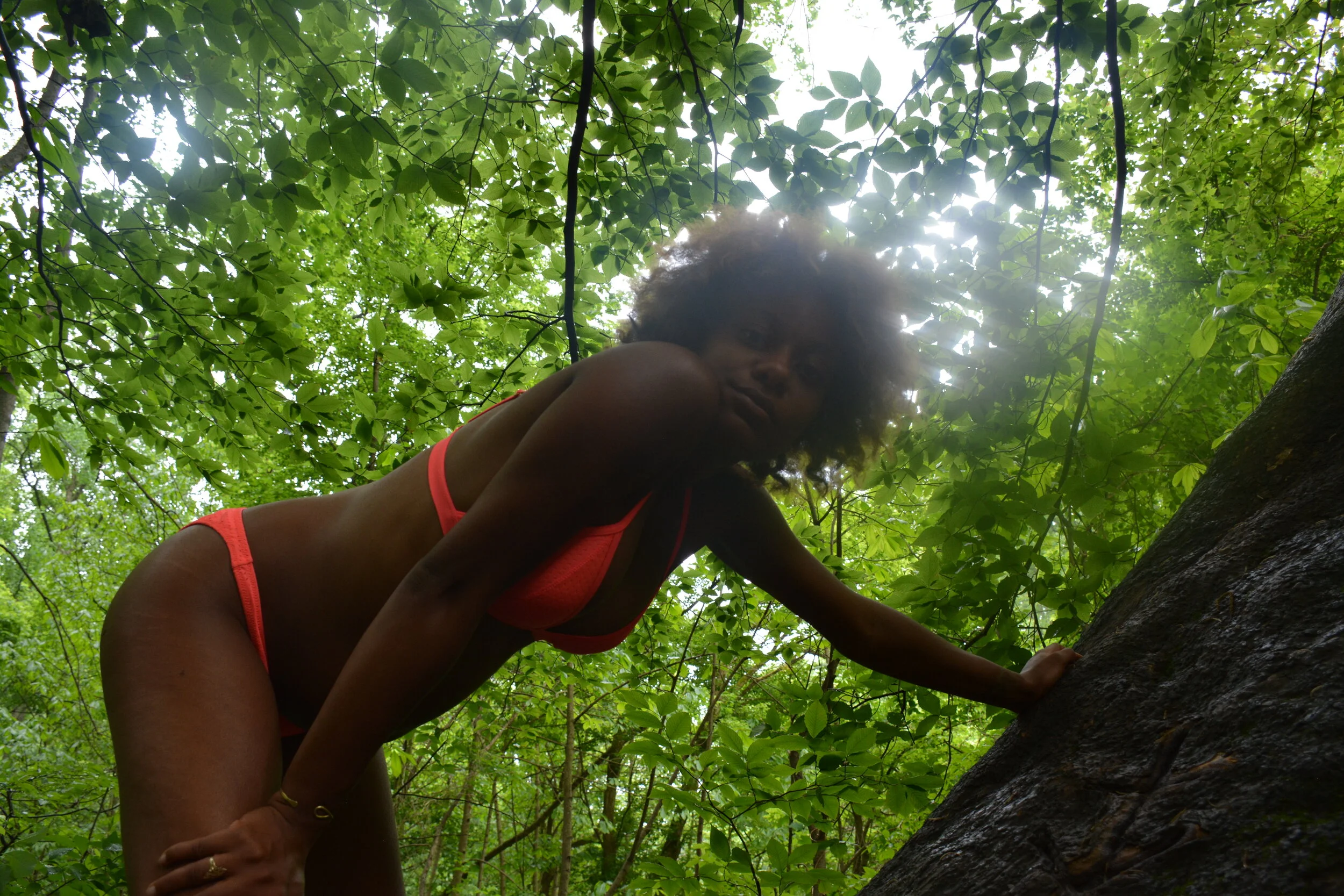 HEALING THE MOTHER WOMB 