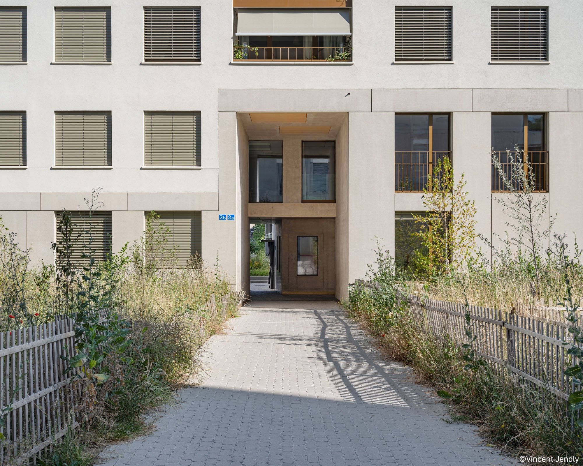 c.arts.ouches.44_web.jpg