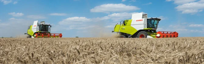 What are the weeds and straws in our own lives?