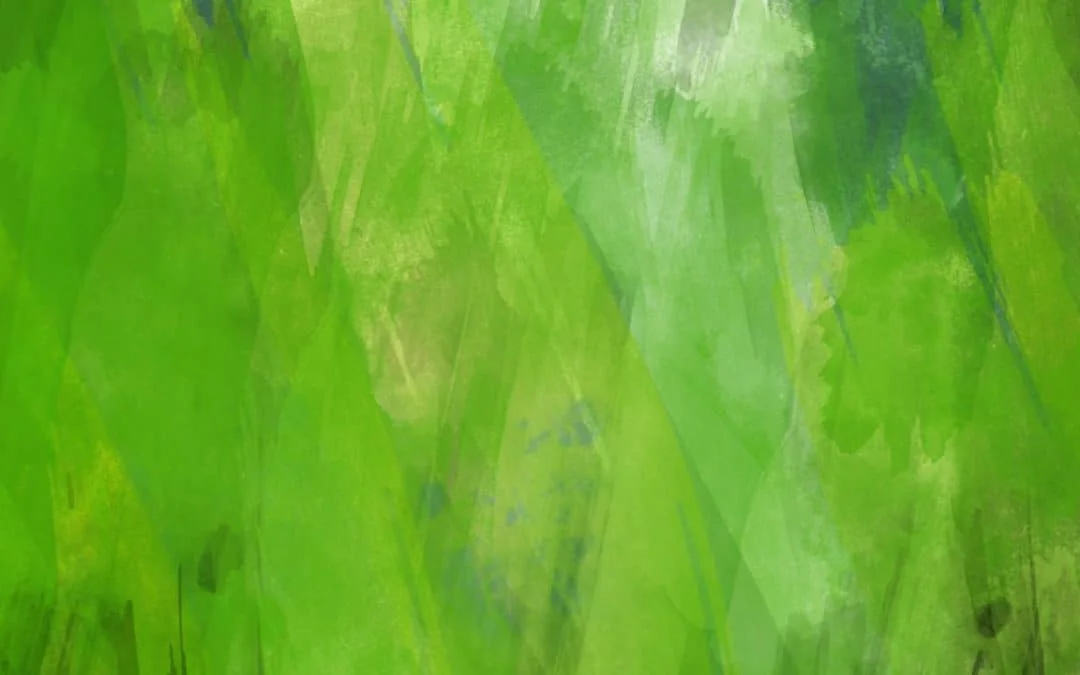 Fr James 1 September 2019