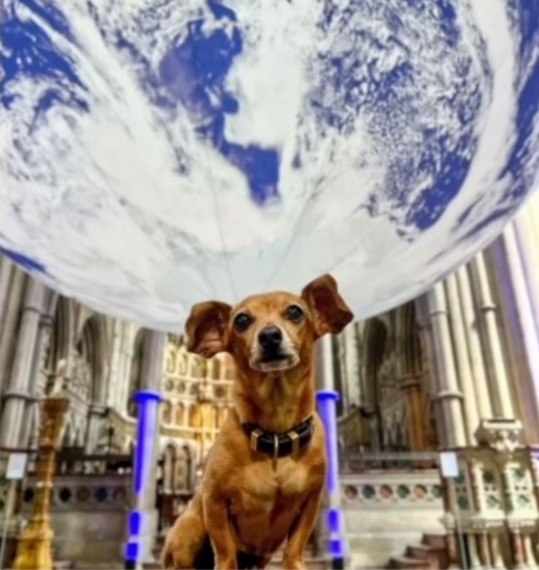 Sermon for the 2nd of October, 2022, Pet Blessing Service
