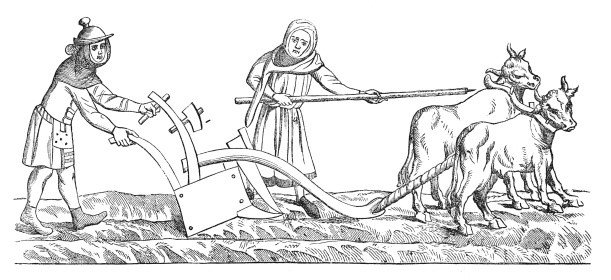 Sermon for the 9th of July - Fifth Sunday after Trinity