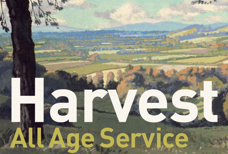 Sermon for the 24th of September - Trinity 16 - All Age Harvest Service