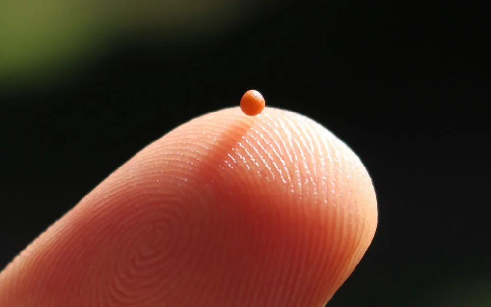 Sermon for the 16th of June - Third Sunday after Trinity