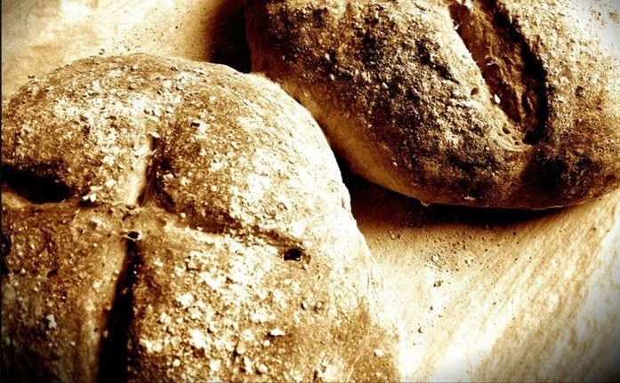 Sermon for the 11th of August - Eleventh Sunday after Trinity 