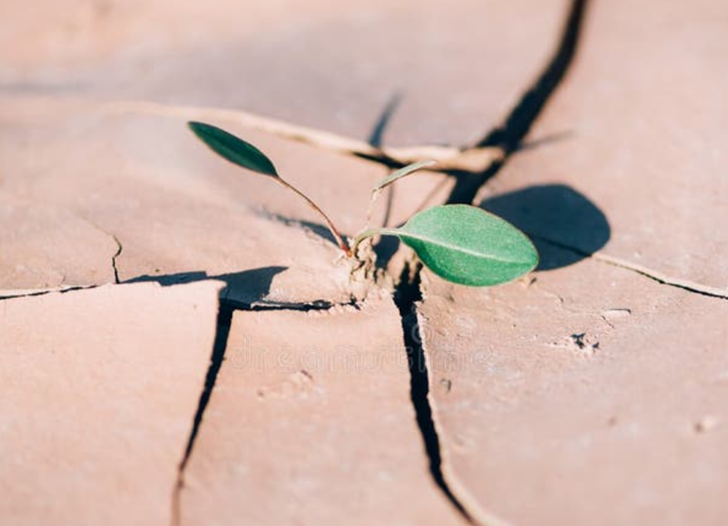 Sermon for the 6th of April - Passion Sunday
