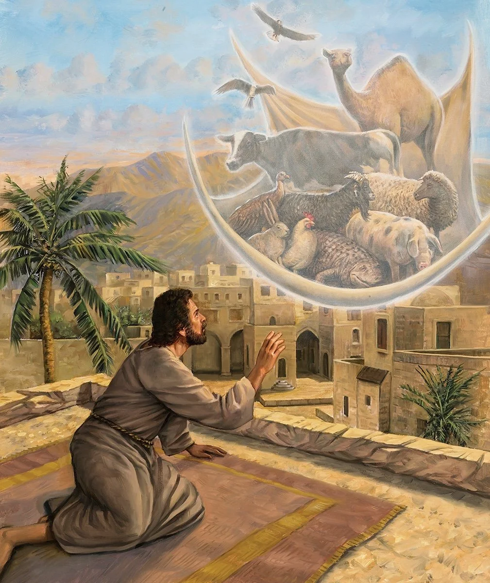 Sermon for the 18th of May - Fifth Sunday of Easter
