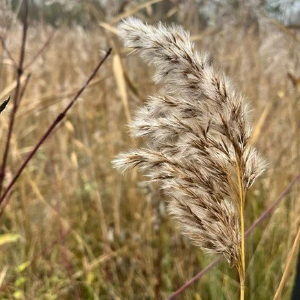 Sermon for the 14th of December - Third Sunday of Advent