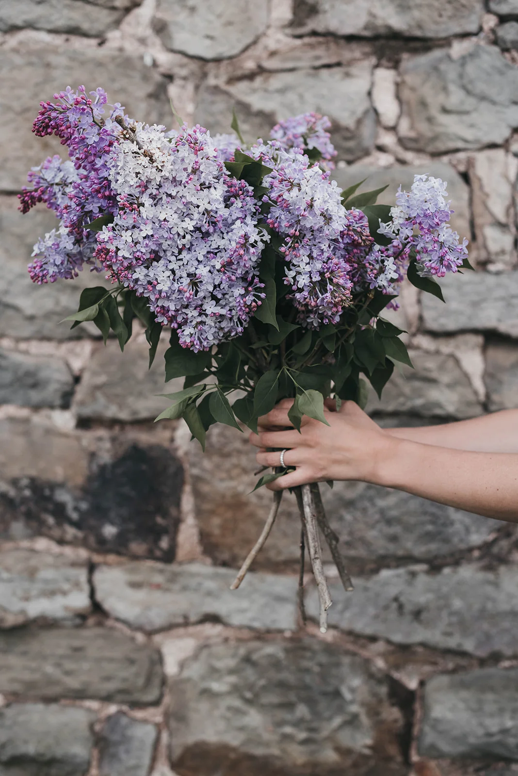 HiddenSpringsFlowerFarm-27_websize.jpg