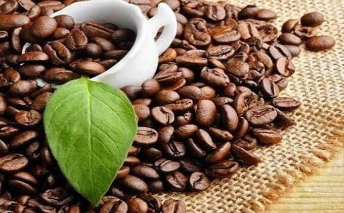 How-Much-Coffee-Beans-Can-You-Eat-Safely.jpg