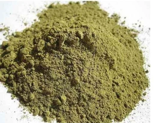 aloeverapowder.jpg