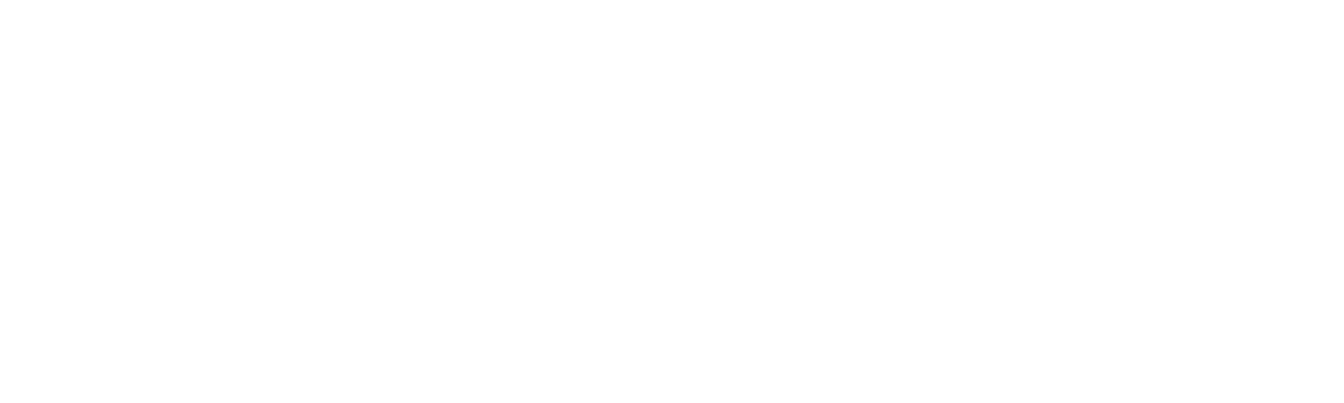 PhunkshunLogo_white.png