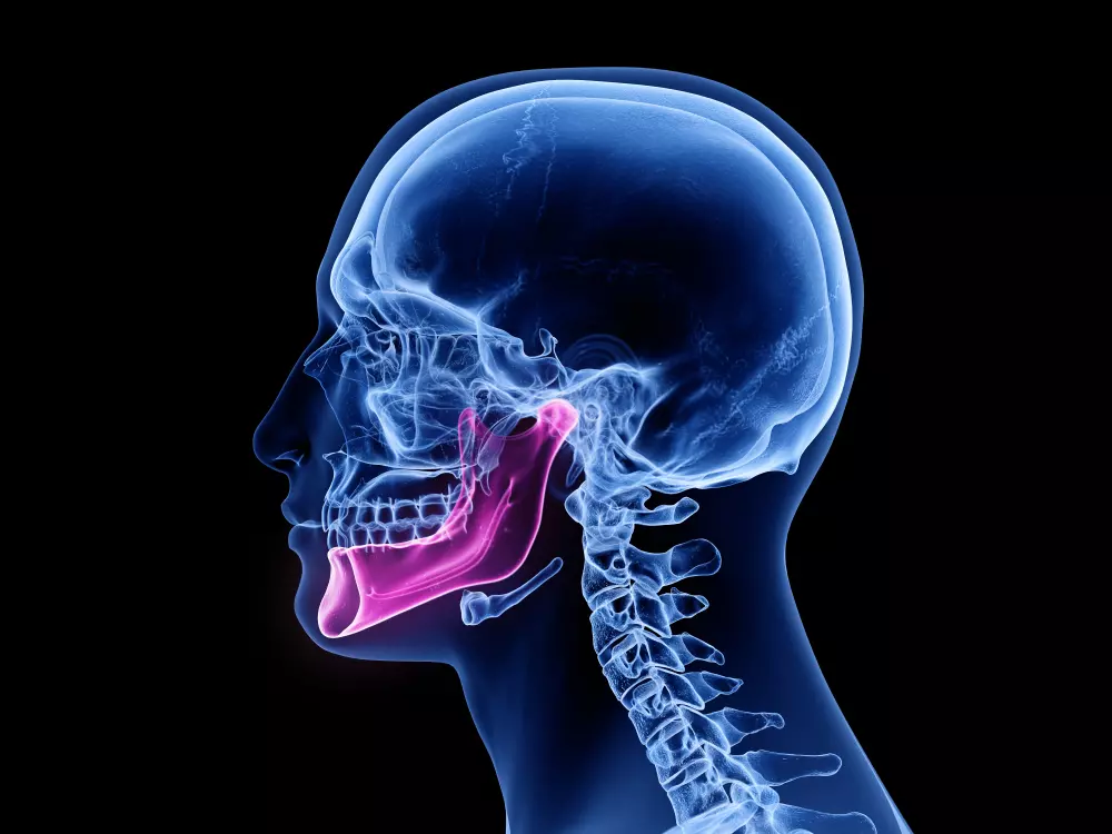 tmj.png