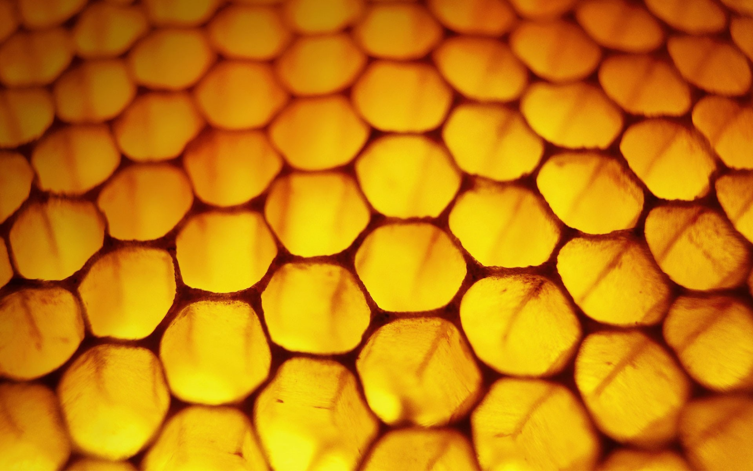 honeycombs.png