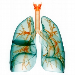 Breath Healing.jpg