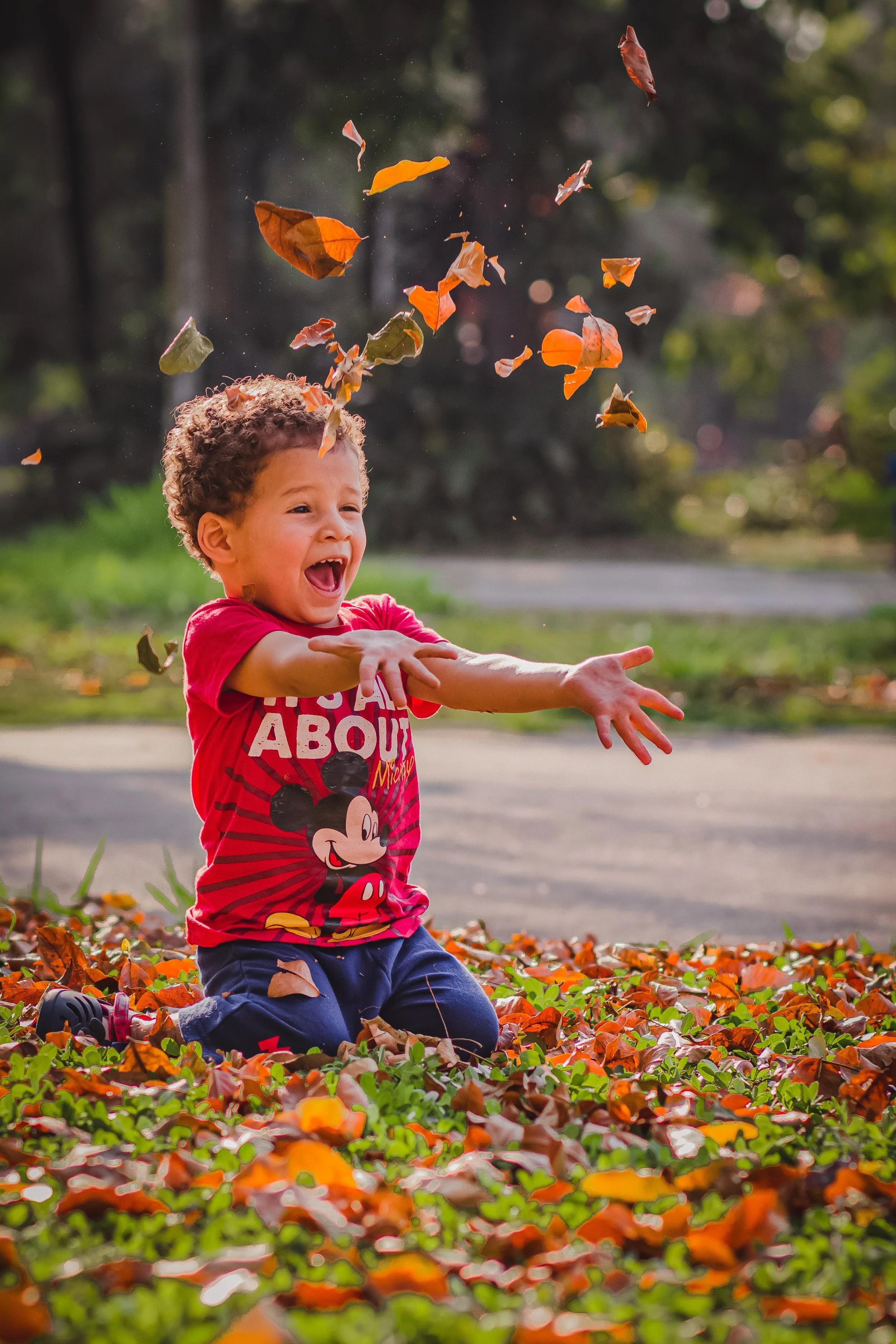 Fall Books for Language Development