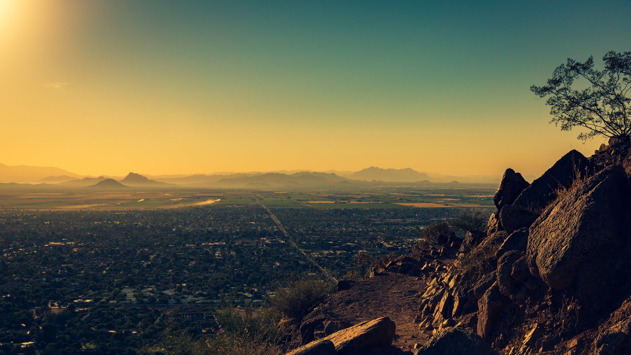 Phoenix - June 15-19, 2015 Chairs: Todd W. Vanderah (USA, Chair) / Jose Moron-Concepcion (USA, Co-Chair) Young Investigator Award: Dr Gregory Scherrer Founders’ Award: Pr Gavril Pasternak