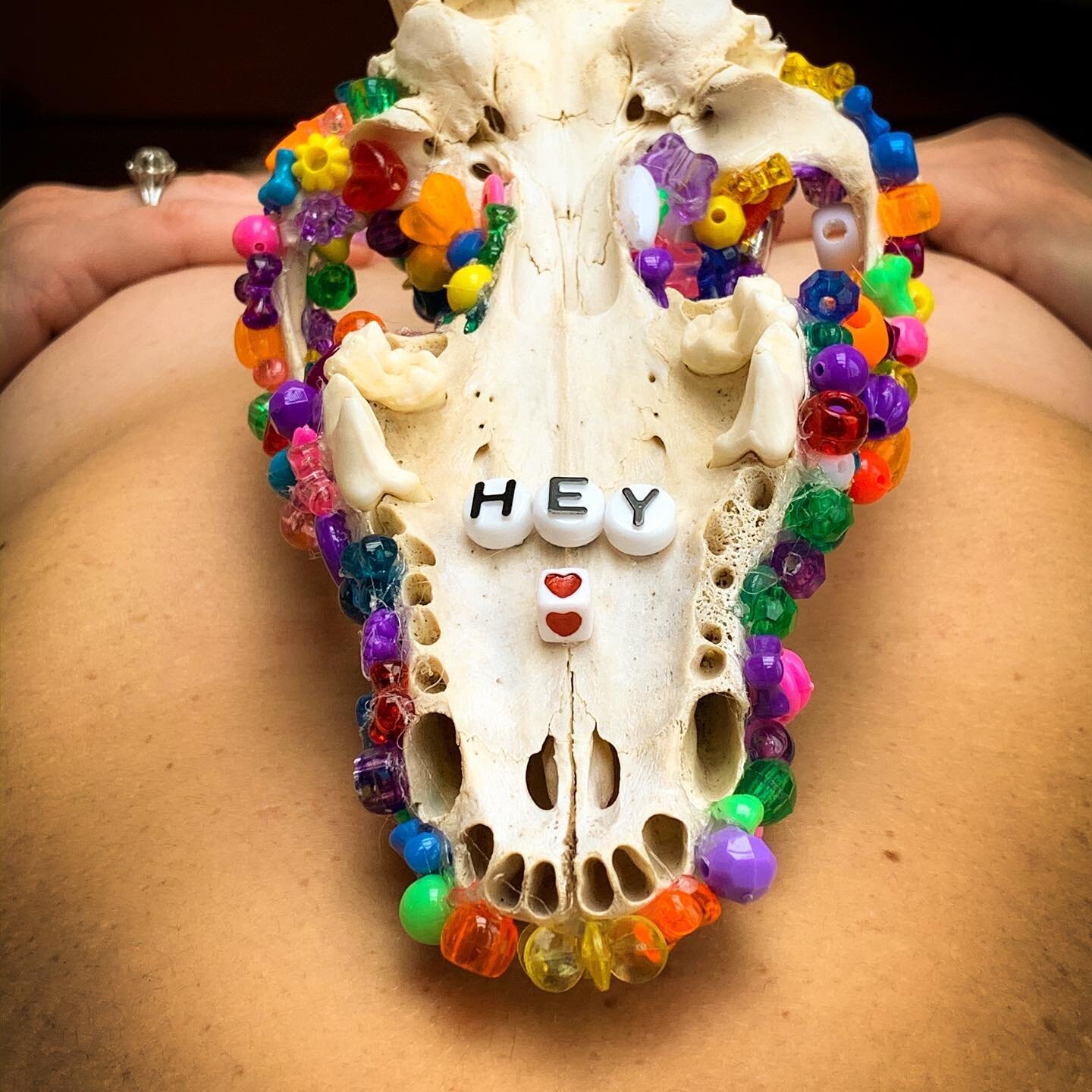 And we continue with our home isolation series of children&rsquo;s arts and crafts. A coyote skull tastefully(?) decorated by my daughter and tastefully(?) photographed on my wife&rsquo;s beautiful belly.