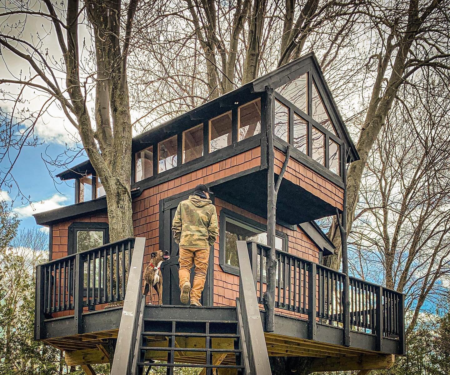 Sometimes when I get involved in a project, I get a little too enthusiastic. My daughter wanted a treehouse. I made a tree condo. I was desperately searching for a way to stay sober after many years of drug abuse. In my youth I would destroy..... may