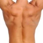 Back $45.00