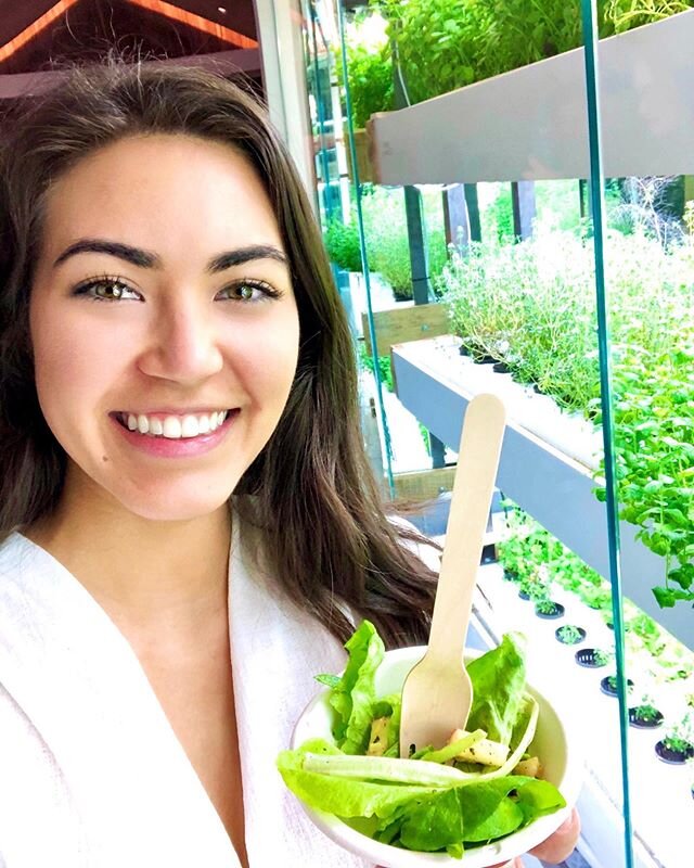 New idea for New York City: 
Vegetables growing.....everywhere 🤩 
Loved eating and learning about hydroponic greens yesterday at #freshinfebruary 🥬

Hydroponic systems can provide fresh local and pesticide-free produce to cities year-round with a f