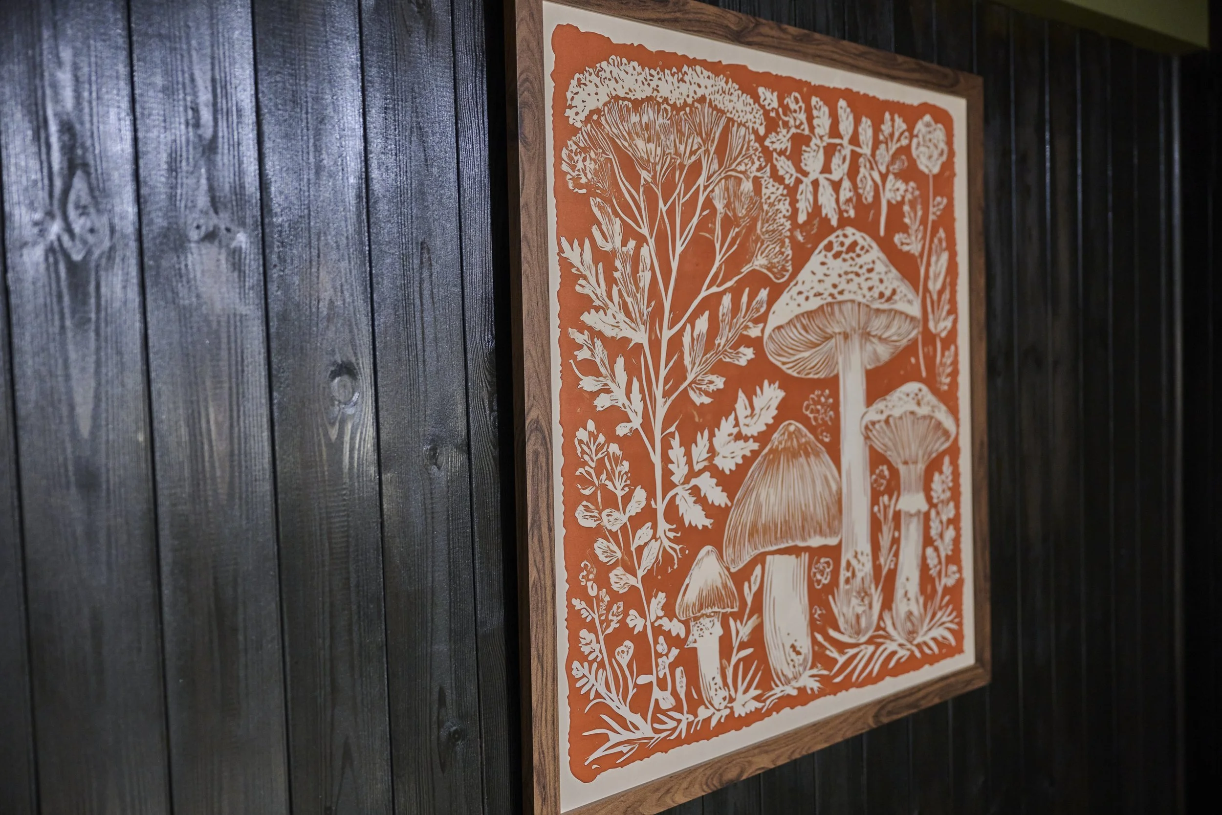 Dolserau Hall fungi picture.jpg