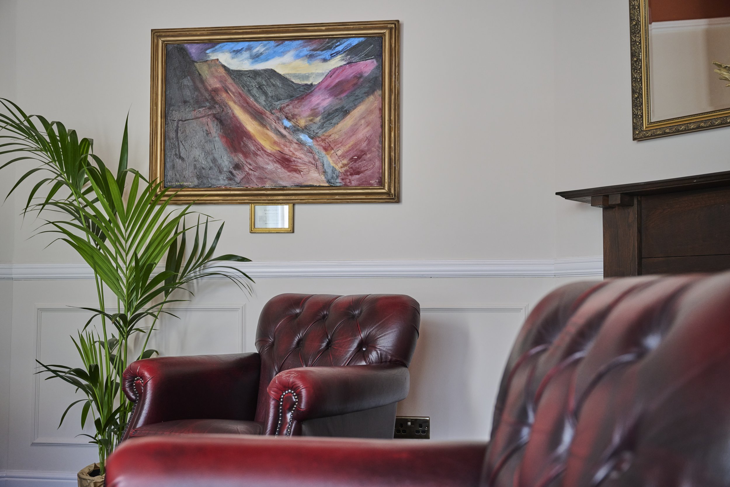 Dolserau Hall local artist.jpg