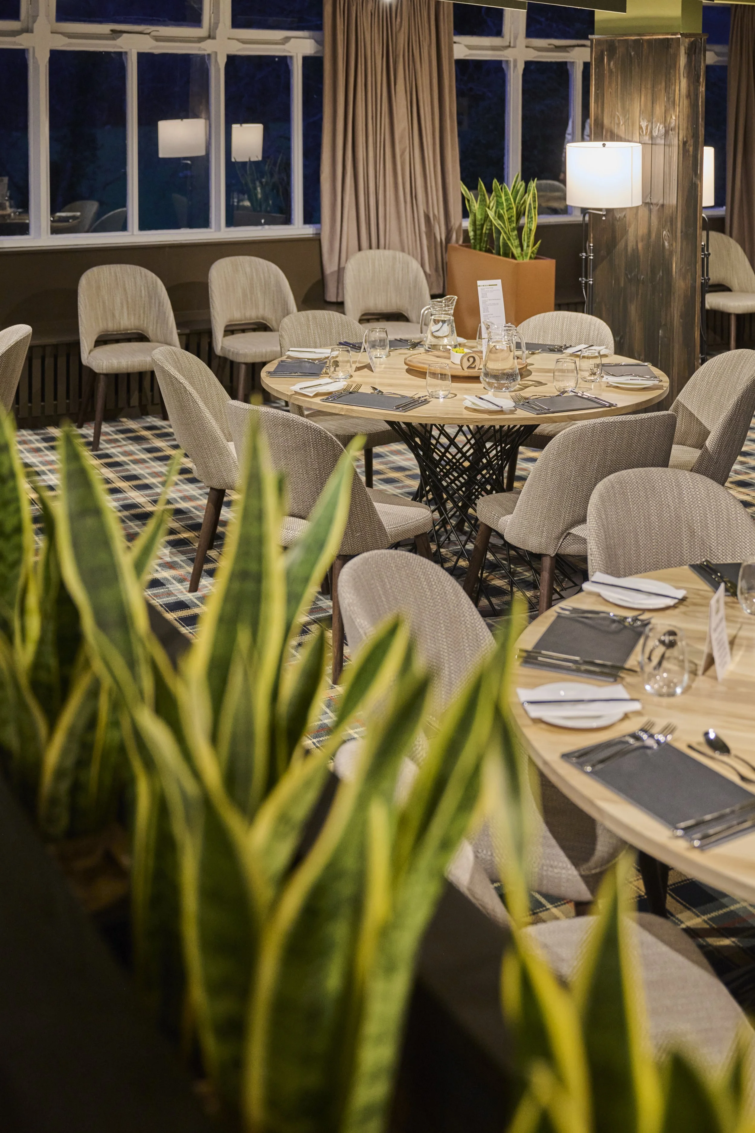 Dolserau Hall snake plants restaurant.jpg