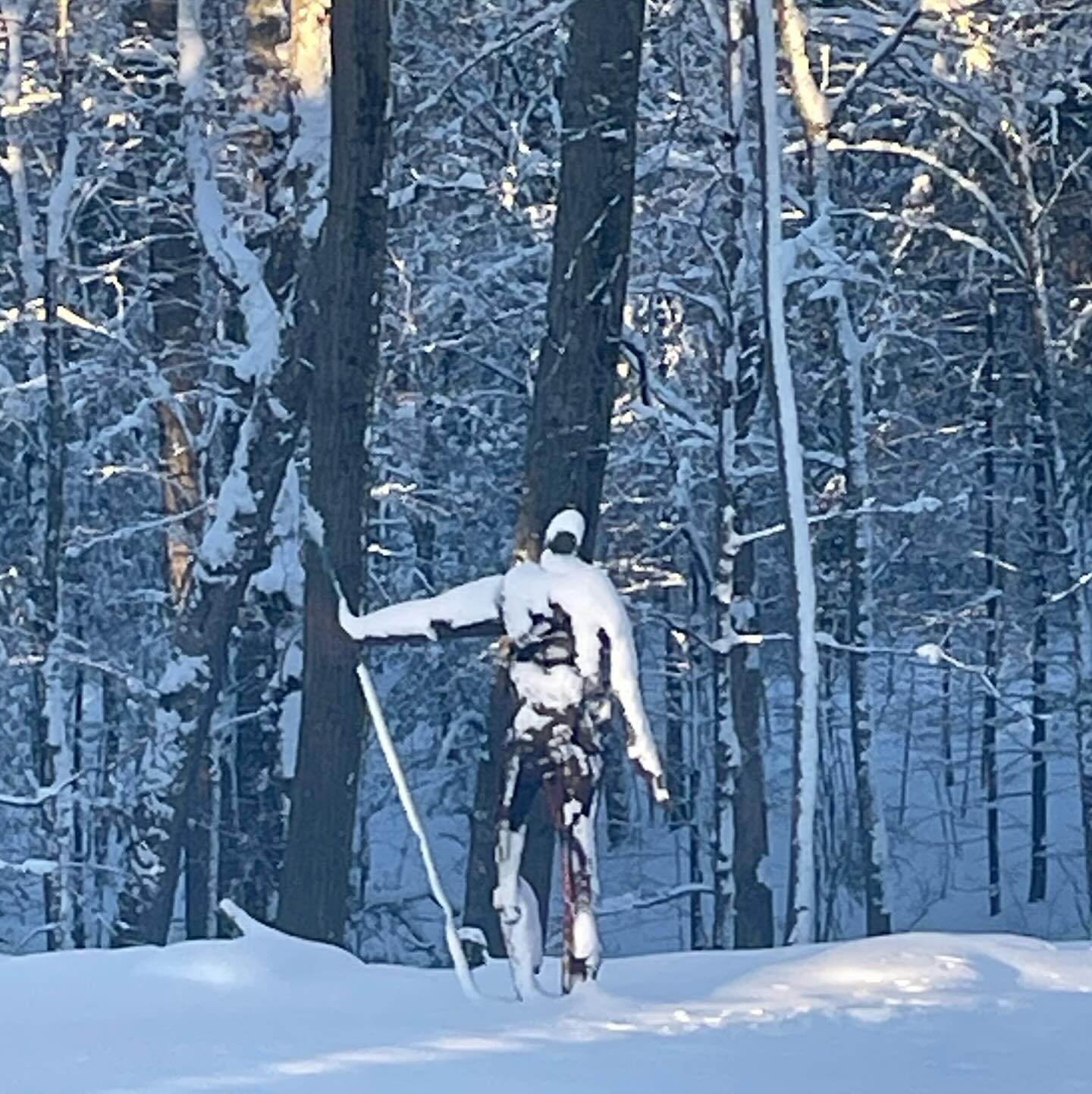 The Abominable Snowman of Dudley MA