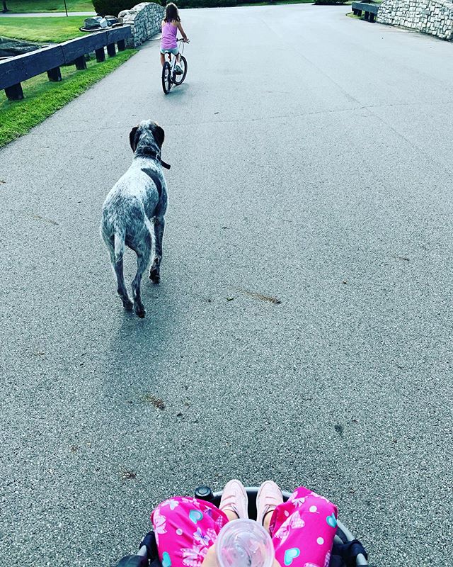 On the go with JoJo (not yet doggie approved) 🐶
.
.
#morningwalk #workoutwednesday #getoutside #cutedogs #cutekids #hydrate #jojocups #thrillsnotspills