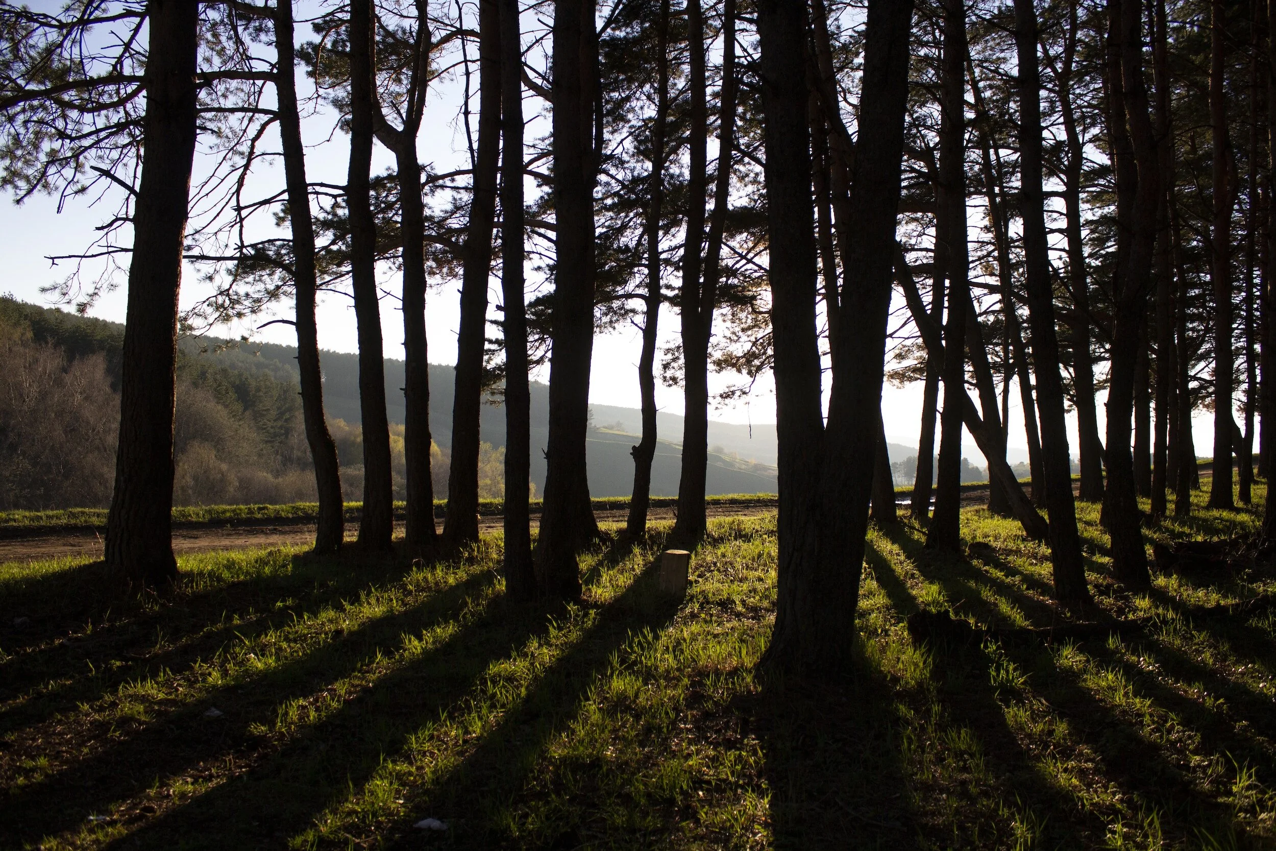 Ten Body Talk: POSITIVE MIND