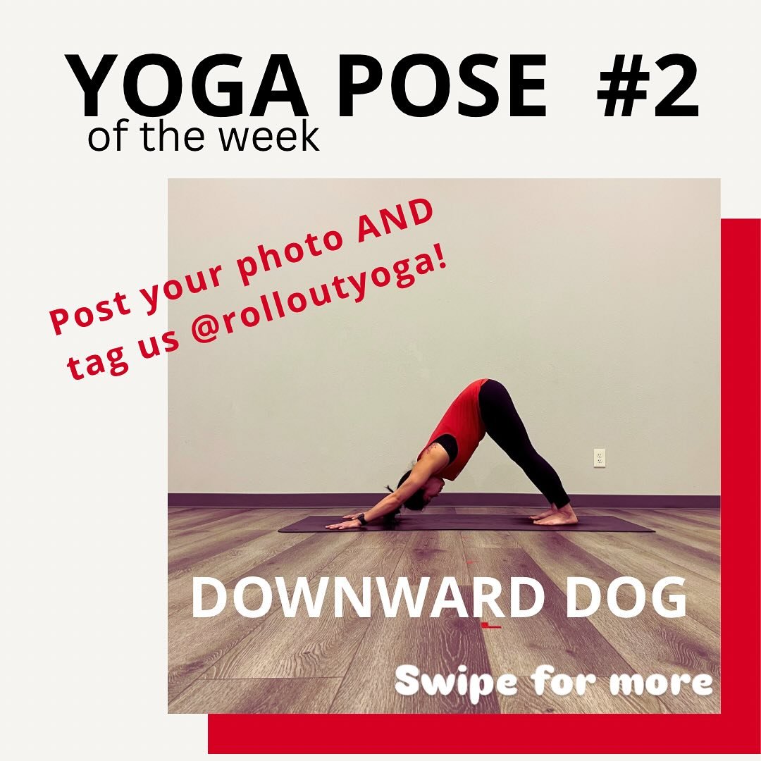CONNECT: Pose of the Week #2 
Downward Dog

Post and tag us @rolloutyoga or email us and we&rsquo;ll share it. 

Submit by 11:59pm on 1/18/2025!