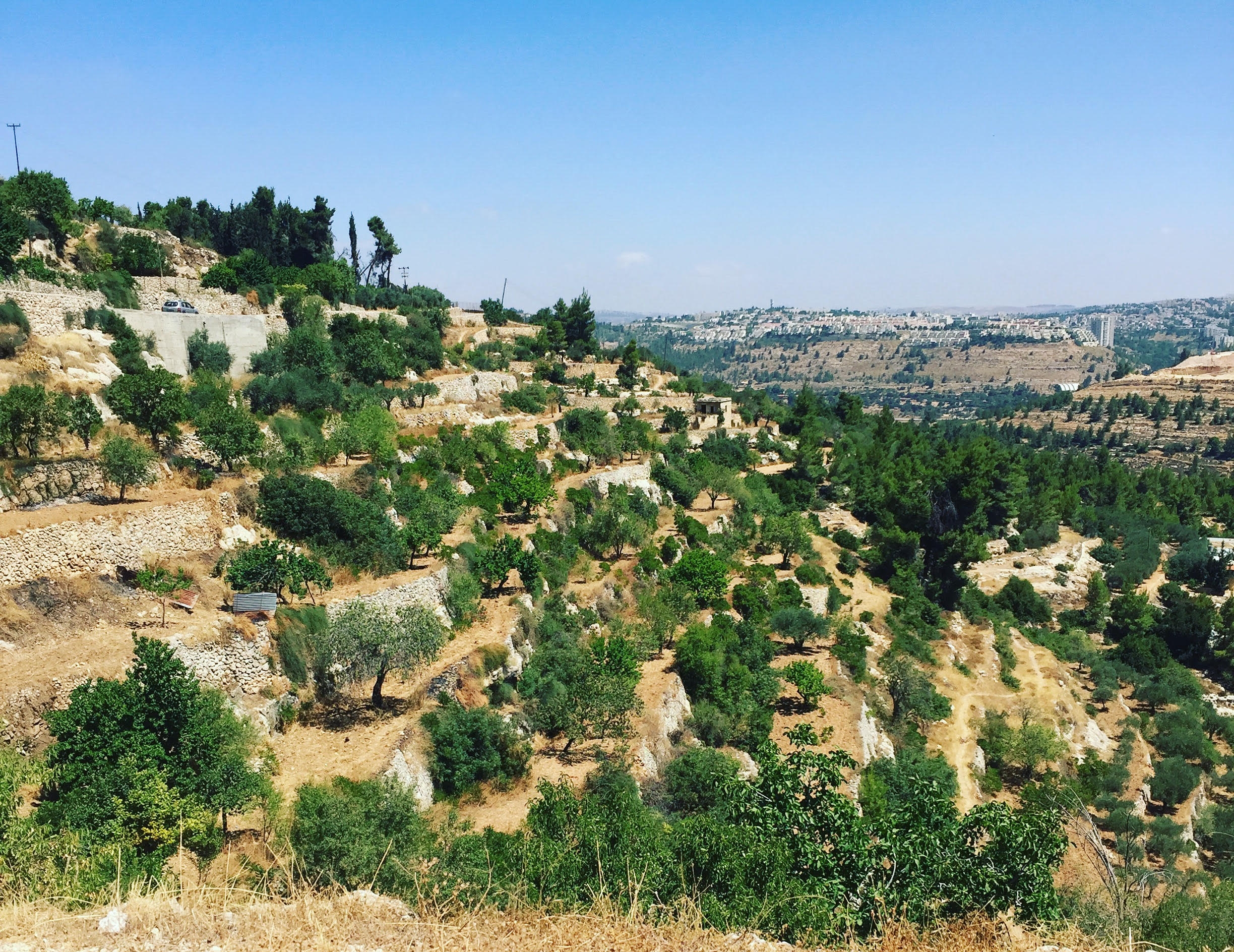 cremison_winery_west_bank_borderless_wine.jpg