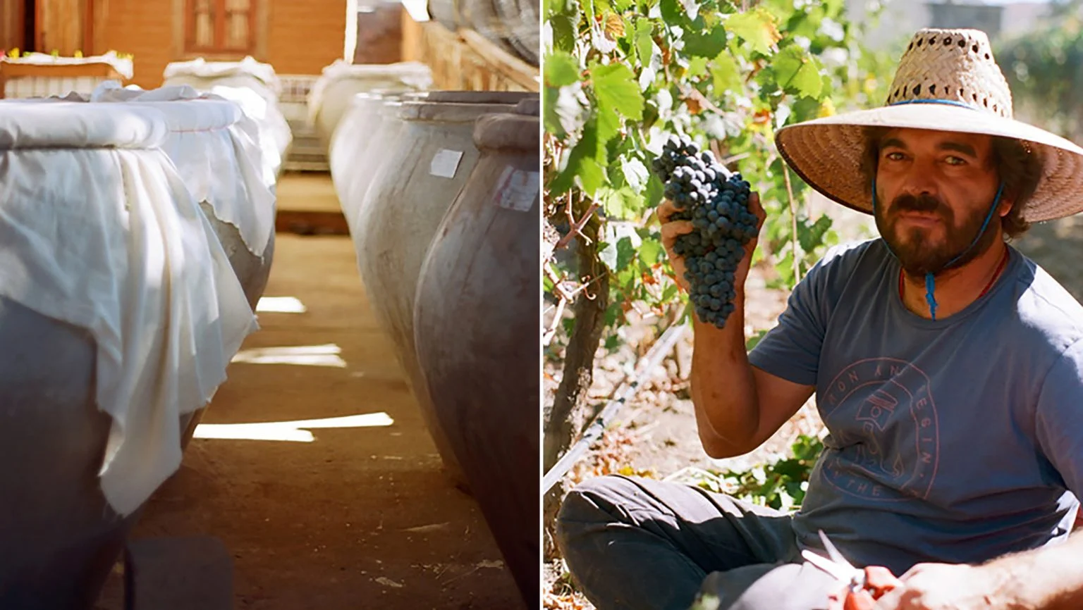 SFD_Mexican_Wine_CR_Peter_Weltman_2520x1420-1536x866.jpg