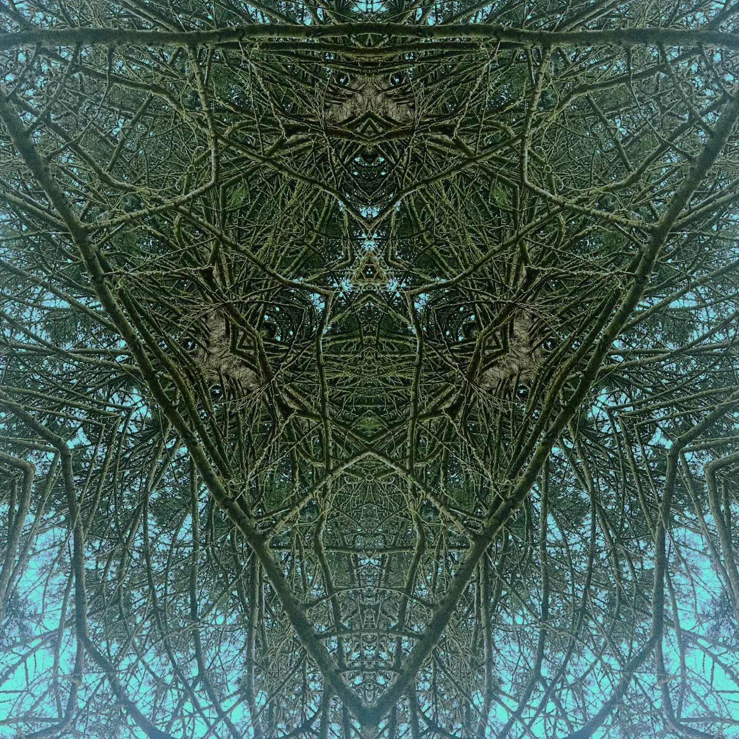 Photo dump of life while working in this track. Minotaur is out now - link in bio
#boisemusicscene #cinematicambient #electronica